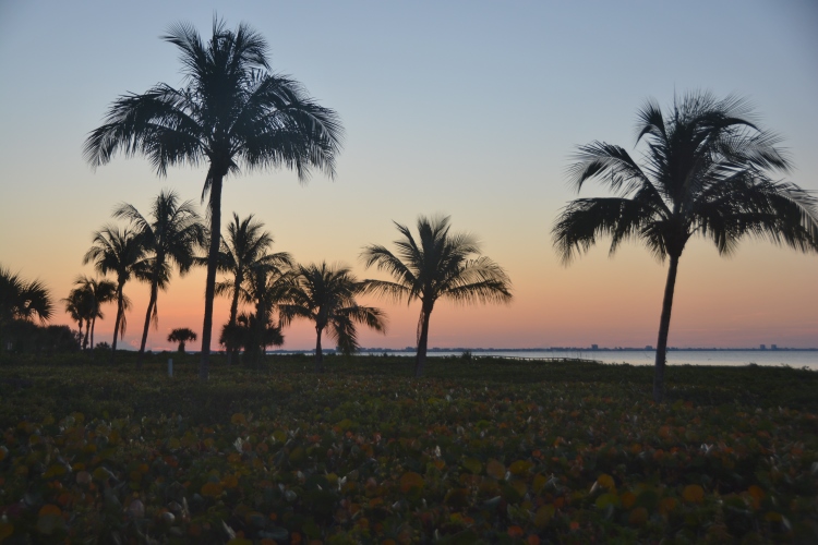 sunrise on Sanibel
